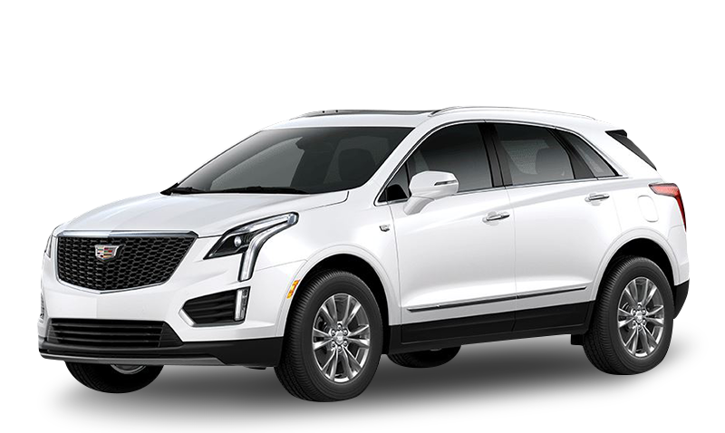 크리스탈 화이트 트리코트 익스테리어